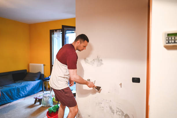 Best Local Mold Removal Service  in Berino, NM